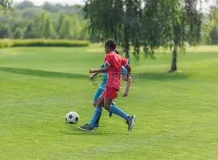 视频,新西兰副总,理兼外长与,皇冠娱乐城,综合博彩,在线娱乐,体育博彩,真人娱乐场,电子游艺