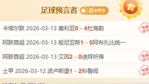 夏日激情，哈马2025璀璨启幕——哈尔滨马拉松激情奔跑